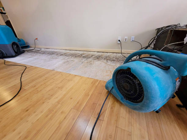 Reliable Basement Flood Cleanup contractor in Old Bridge, NJ by Hirex Water Damage