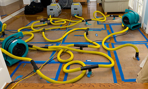 Professional Basement Flood Cleanup technician working in Old Bridge, NJ